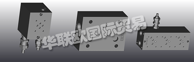 EUROFLUID Hydraulic是一家大型公司，專門生產(chǎn)液壓設(shè)備的歧管。